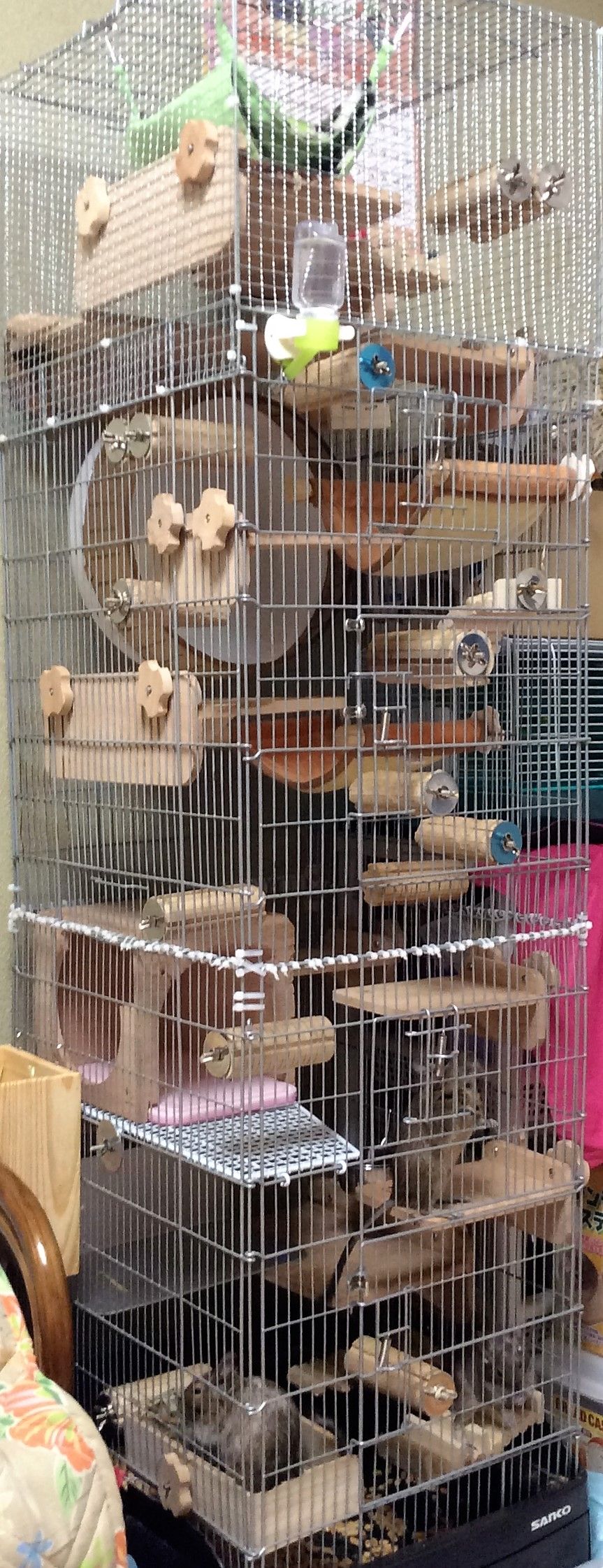 デグーの小太郎ｊｒ １０９ ケージ増築し過ぎ デグーの小太郎