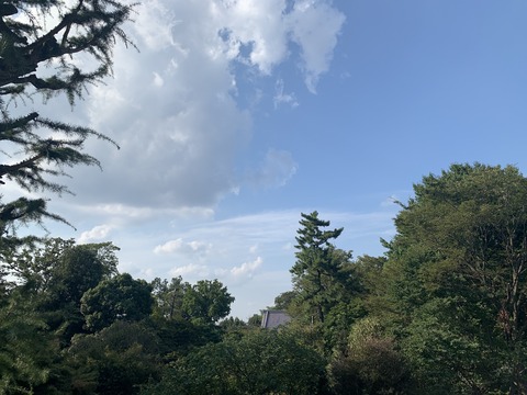 中大杉並 57期 変えられるのは未来だけ 中大杉並 57期 変えられるのは未来だけ