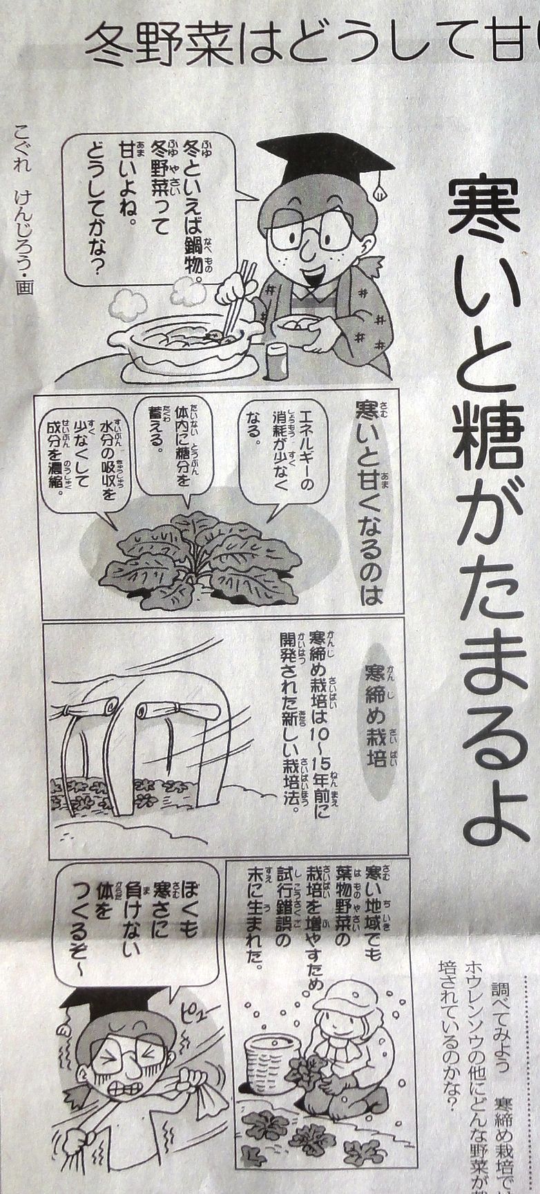 冬野菜は甘い 中農日記 冬野菜は甘い 中農日記