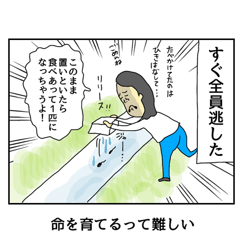 無題5888_20250625230827