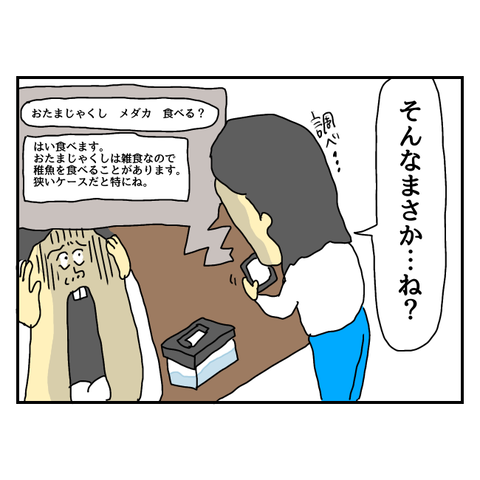 無題5868_20250625225541