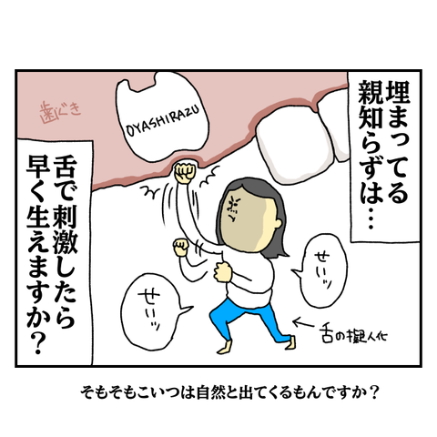 無題6520_20251005183648