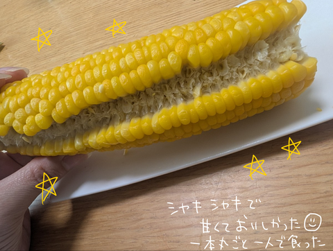 無題7941_20260720200502