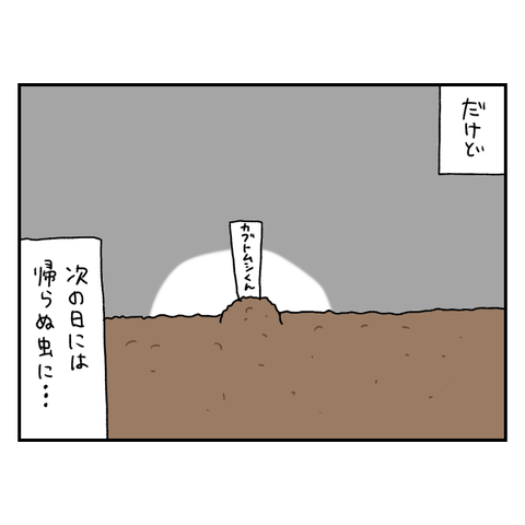 無題6353_20250905145535