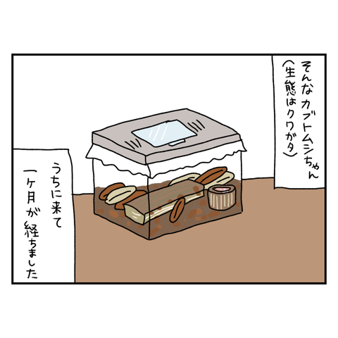 無題6372_20250909204335