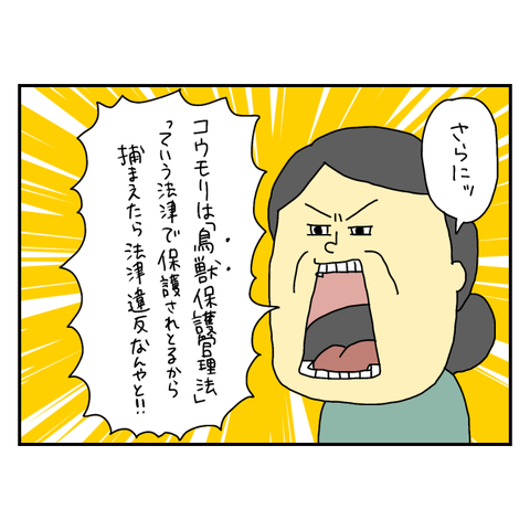 無題6243_20250819193502
