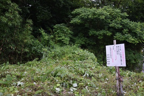 DSC_0244 - コピー