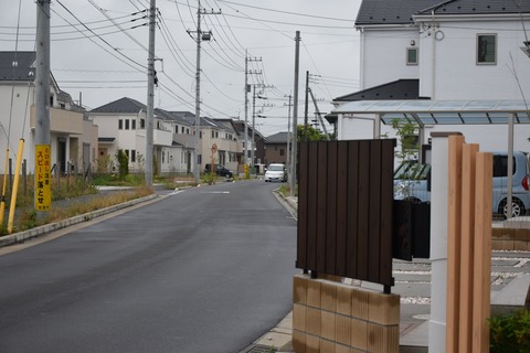 DSC_0252 - コピー