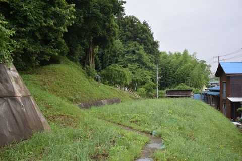 DSC_0239 - コピー