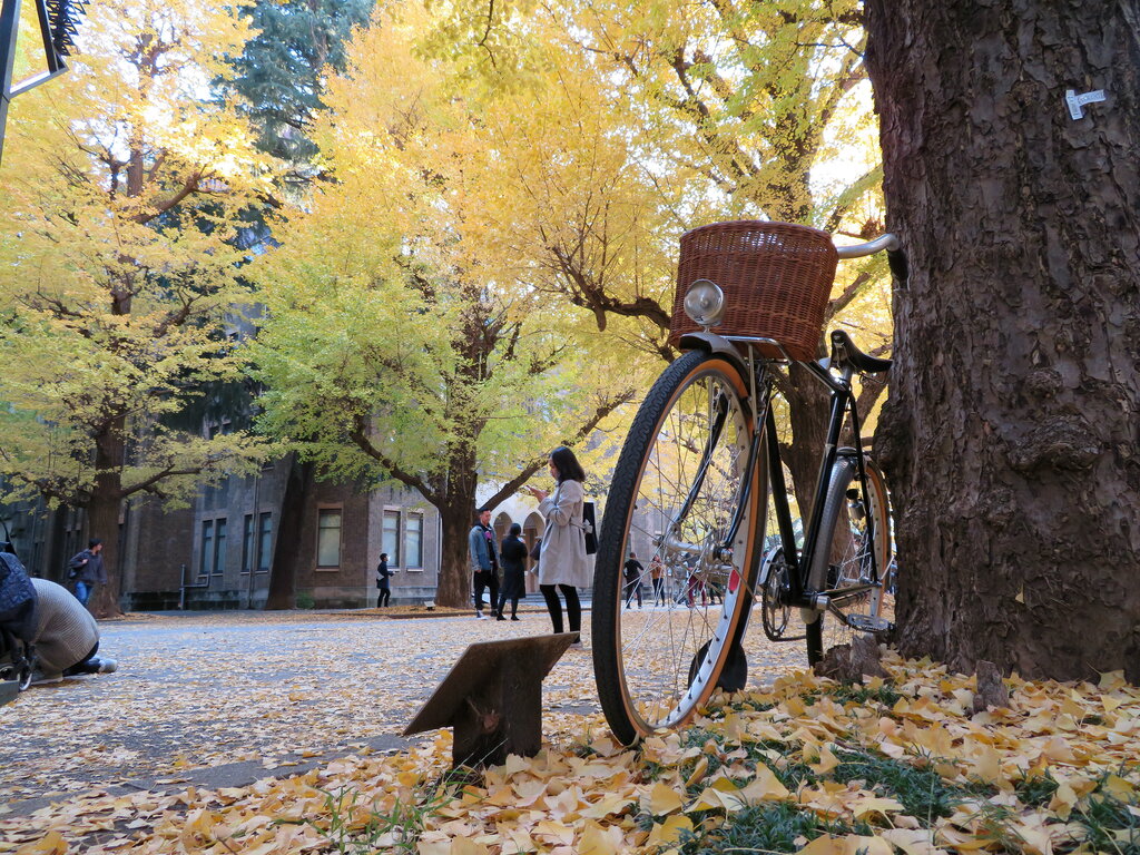 JOSのダイナモ 交換(前編) : 自転車屋 中嶋 JOSのダイナモ 交換(前編) : 自転車屋 中嶋
