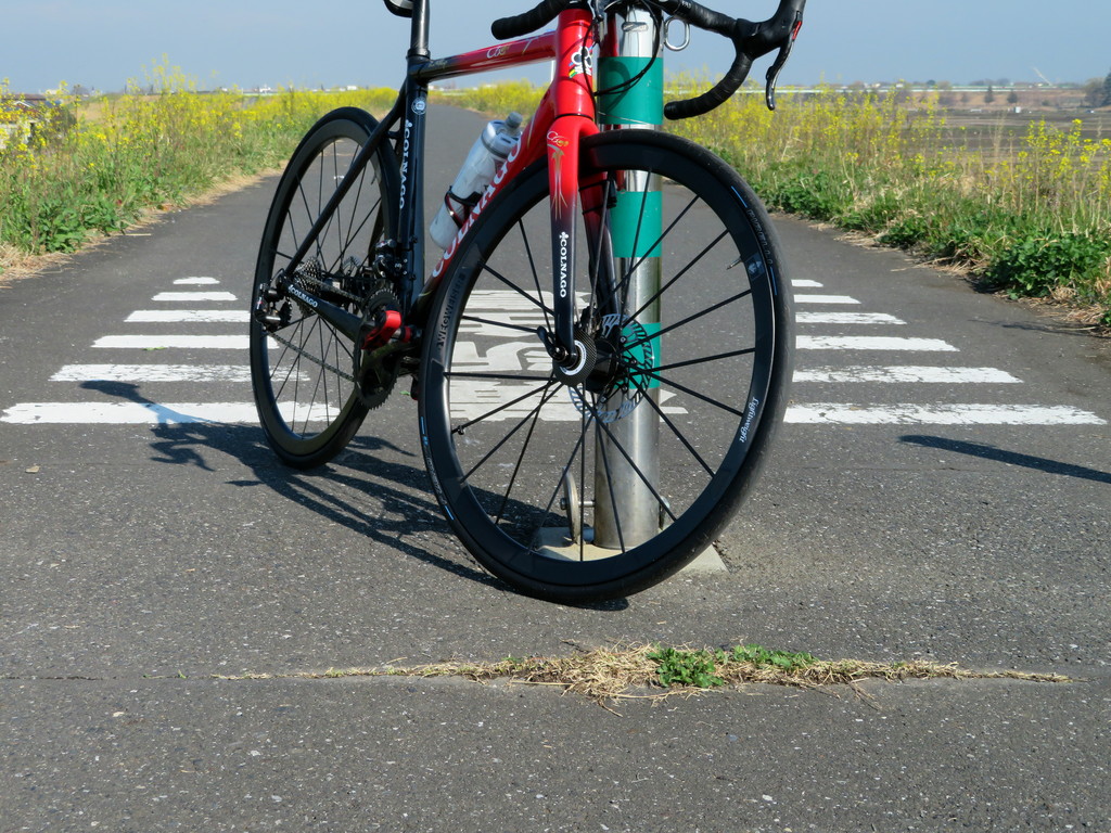 自主トレ2回目 なぜか埼玉 自転車屋 中嶋 自主トレ2回目 なぜか埼玉 自転車屋 中嶋
