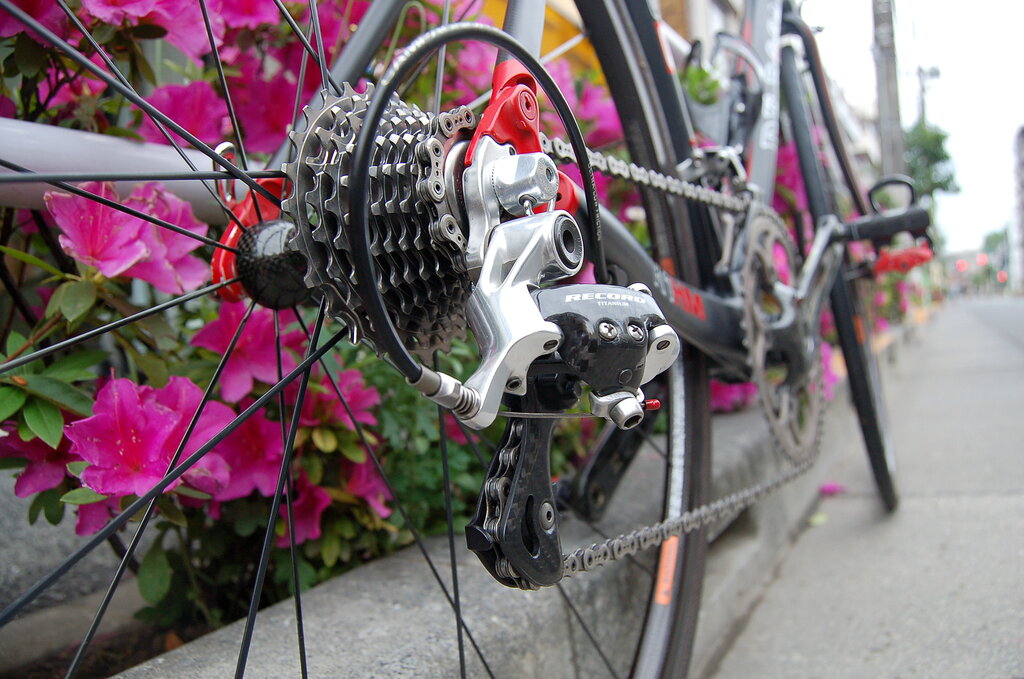SELLE ITALIA セライタリア　SLR DE ROSA カーボンレール ウエムラサイクルパーツインターネット店 / SelleItalia (セラ