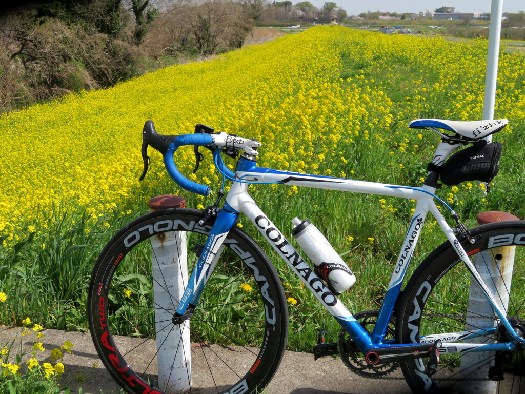 C59 別れは突然に‥ : 自転車屋 中嶋