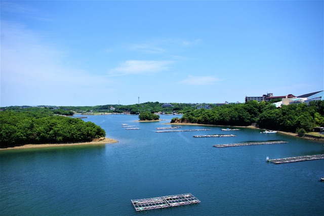 IMGP4845 (2)