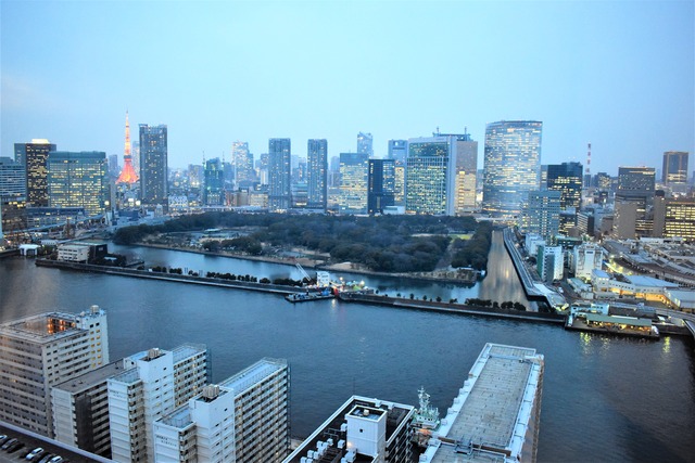 DSC_0875 (2)