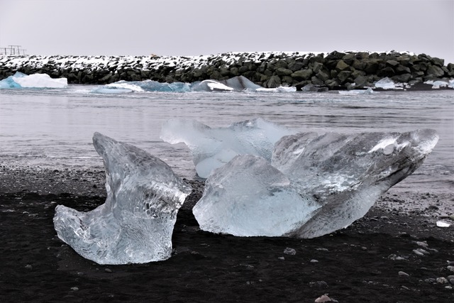 DSC_0408