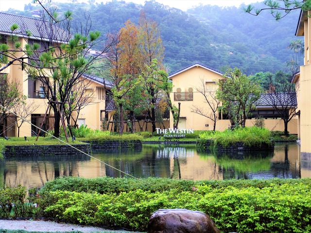 IMGP6177 (2)