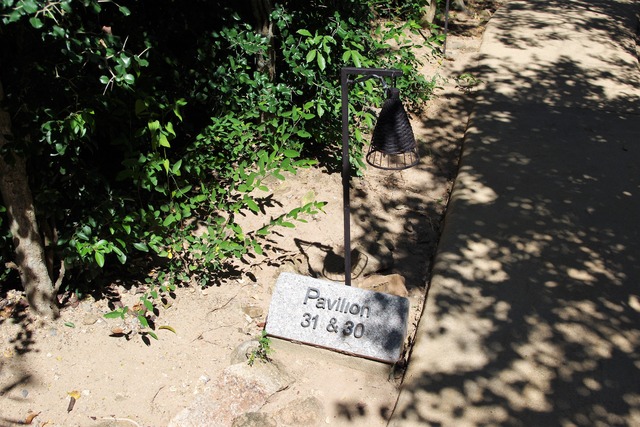 IMGP5967