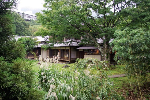 IMGP9984