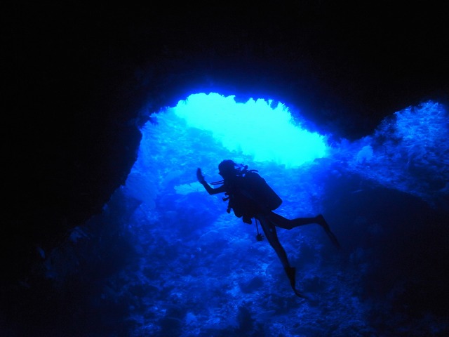 M0010769 (2)