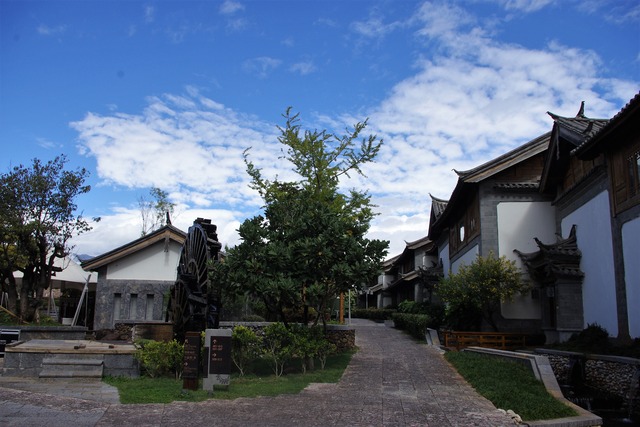 IMGP0652