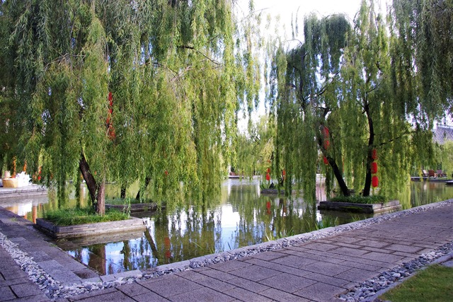 IMGP1233