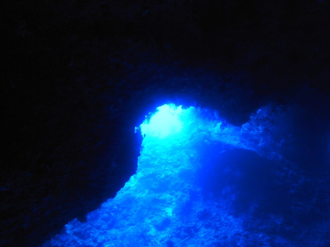 台湾 パラオとの団体旅行再開 4月1日スタート Ciel オフィシャルブログ 月に一度の世界スパ ホテル巡り Powered By ライブドアブログ