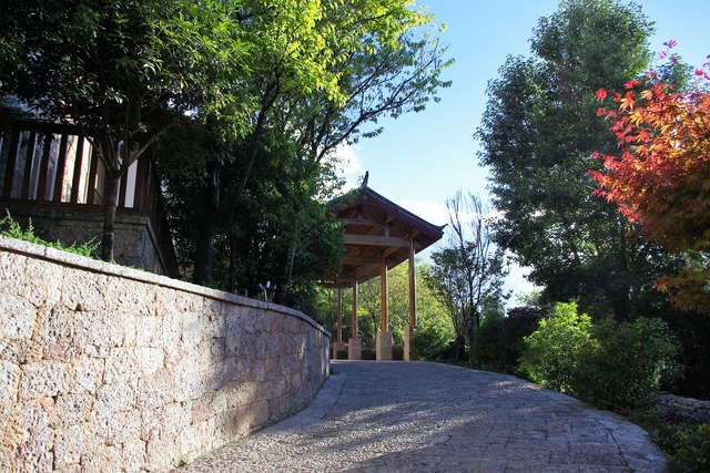 IMGP0857