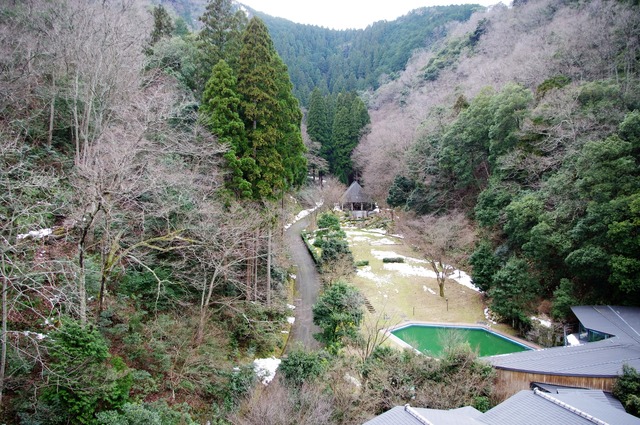 IMGP6190