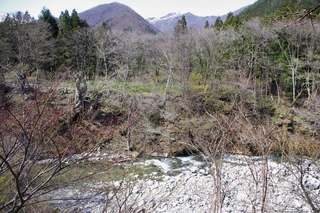 IMGP0739
