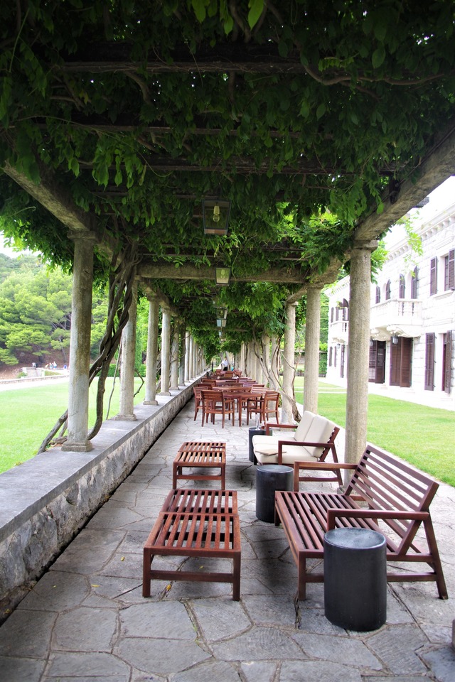 IMGP2394 (2)