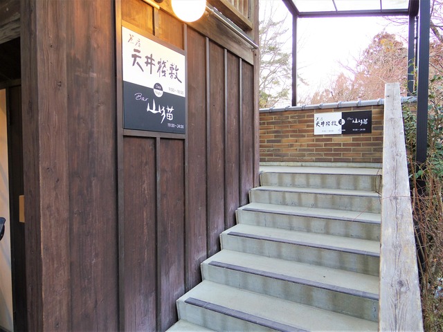 IMGP5725 (2)