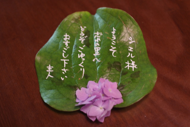 IMGP2337
