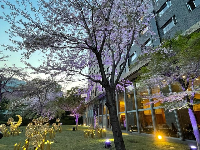 IMG_4810