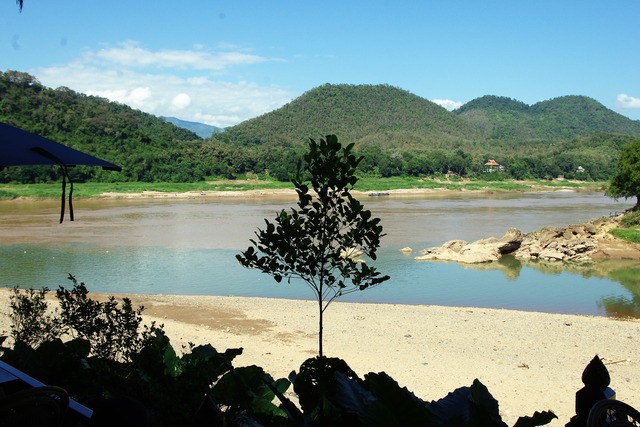 IMGP3128