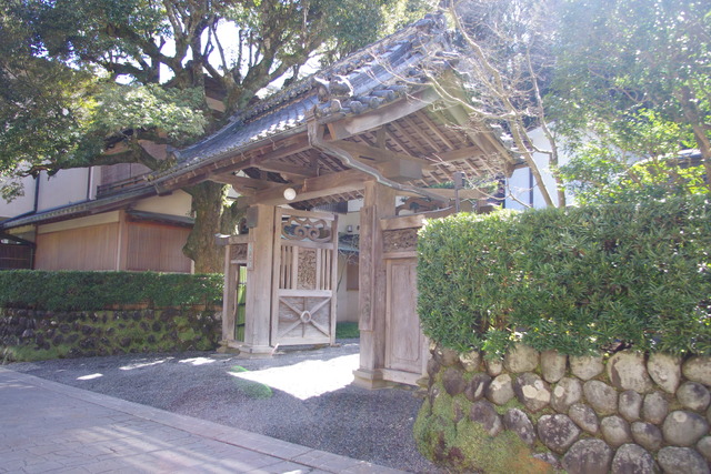 IMGP8239