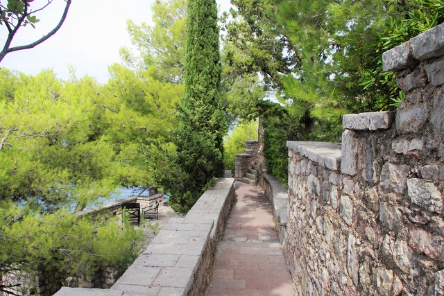 IMGP2299 (2)