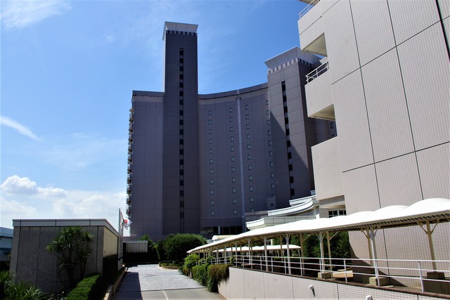 IMGP3262