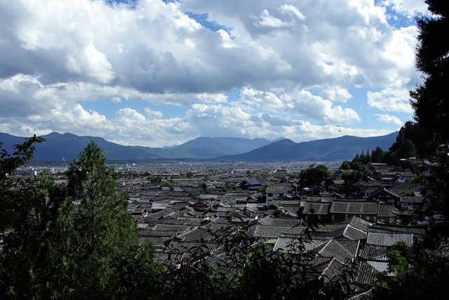 IMGP0731