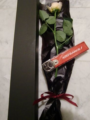 月に一度の世界スパ&エステ巡り