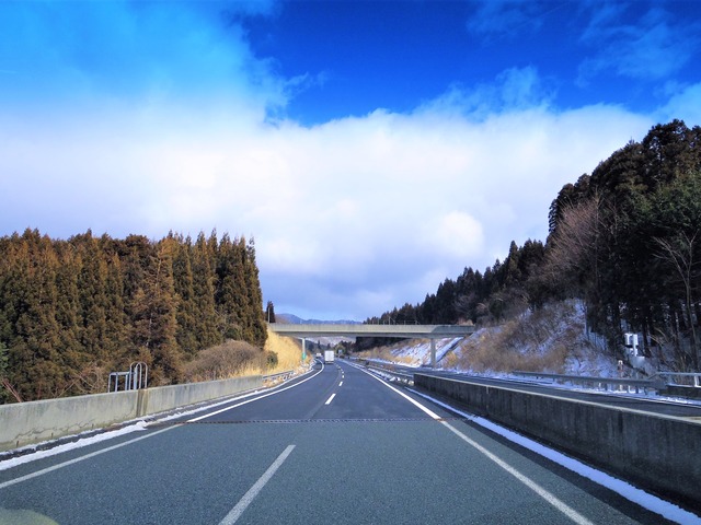 IMGP5661 (3)