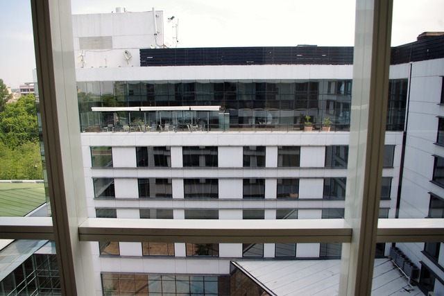 IMGP6972