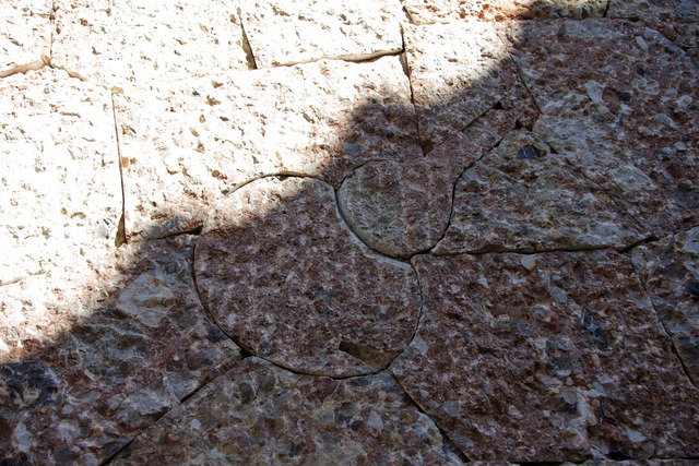 IMGP0768