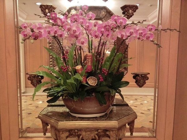 月に一度の世界スパ＆エステ巡り　