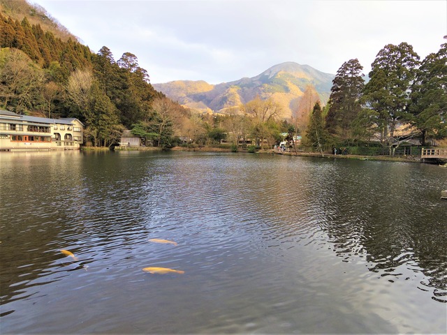 IMGP5819 (2)