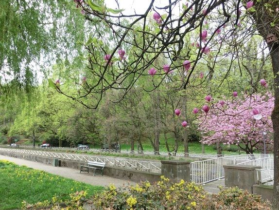 月に一度の世界スパ&エステ巡り