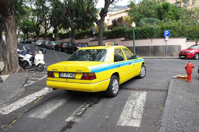 IMGP8650