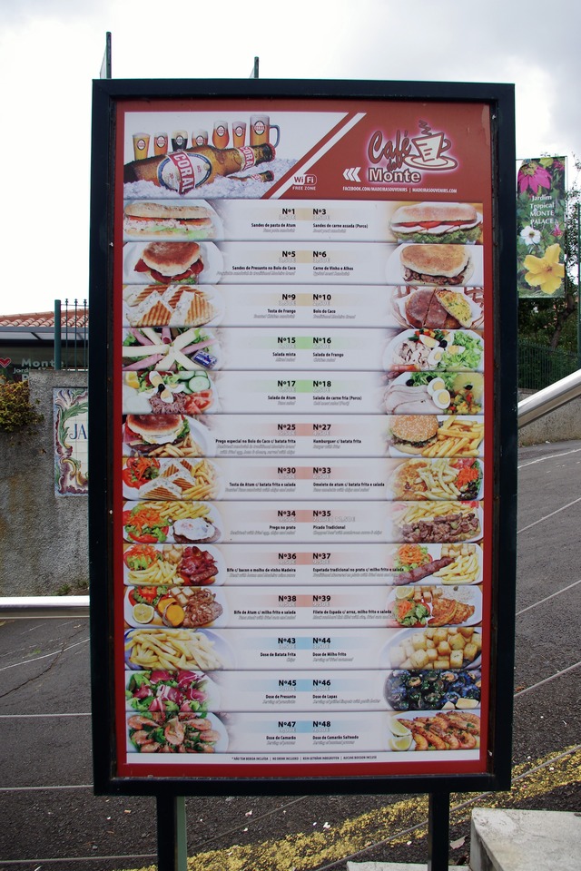 IMGP8731