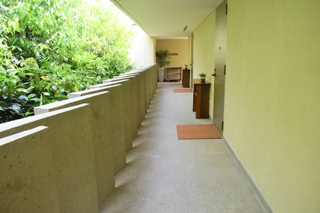 DSC_0096 (2)