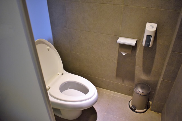 DSC_0930 (2)